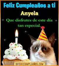 Gato meme Feliz Cumpleaños Anyela